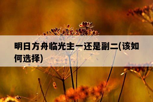 明日方舟臨光主一還是副二，該如何選擇-圖1