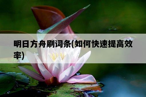 明日方舟刷詞條，如何快速提高效率-圖1