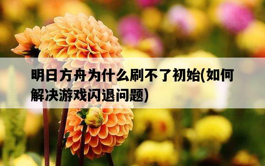 明日方舟為什么刷不了初始，如何解決游戲閃退問題-圖1