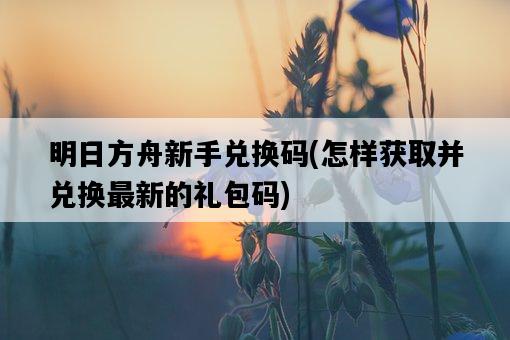 明日方舟新手兌換碼，怎樣獲取并兌換最新的禮包碼-圖1