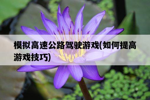模擬高速公路駕駛游戲，如何提高游戲技巧-圖1