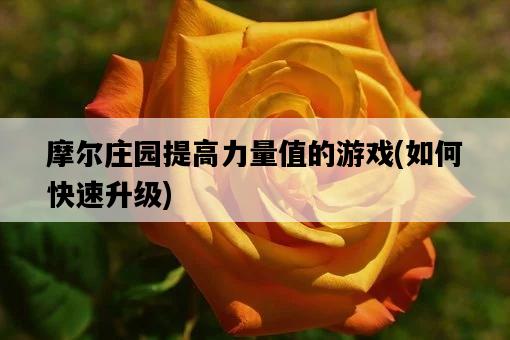 摩爾莊園提高力量值的游戲，如何快速升級-圖1