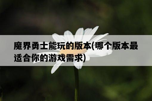 魔界勇士能玩的版本，哪個版本最適合你的游戲需求-圖1