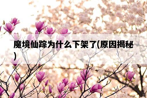 魔境仙蹤為什么下架了，原因揭秘-圖1