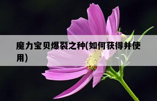 魔力寶貝爆裂之種，如何獲得并使用-圖1