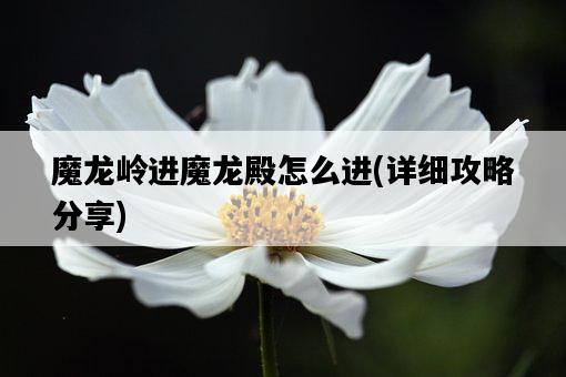 魔龍嶺進魔龍殿怎么進，詳細攻略分享-圖1