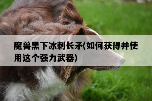 魔獸黑下冰刺長矛，如何獲得并使用這個強力武器-圖1