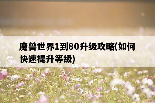 魔獸世界1到80升級攻略，如何快速提升等級-圖1
