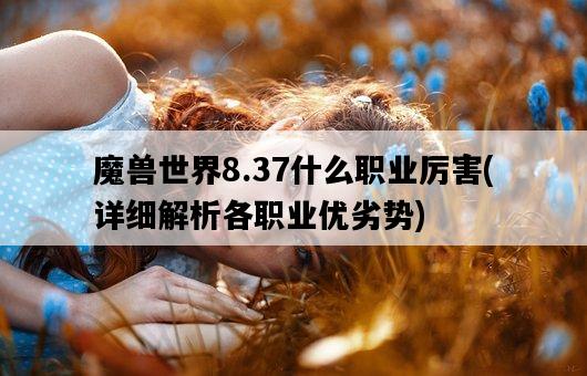 魔獸世界8.37什么職業厲害，詳細解析各職業優劣勢-圖1