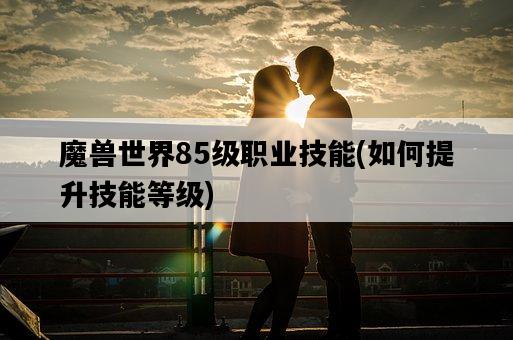魔獸世界85級職業技能，如何提升技能等級-圖1