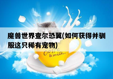 魔獸世界查爾恐翼，如何獲得并馴服這只稀有寵物-圖1