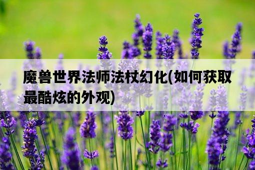 魔獸世界法師法杖幻化，如何獲取最酷炫的外觀-圖1