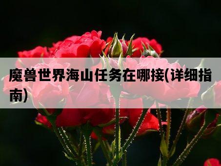 魔獸世界海山任務在哪接，詳細指南-圖1