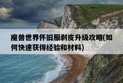 魔獸世界懷舊服剝皮升級攻略，如何快速獲得經驗和材料-圖1