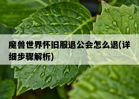 魔獸世界懷舊服退公會怎么退，詳細步驟解析-圖1