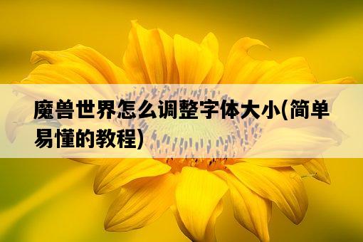 魔獸世界怎么調整字體大小，簡單易懂的教程-圖1