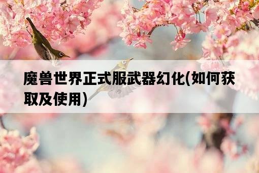 魔獸世界正式服武器幻化，如何獲取及使用-圖1