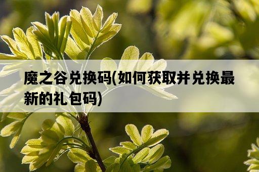 魔之谷兌換碼，如何獲取并兌換最新的禮包碼-圖1