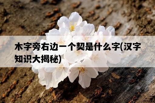 木字旁右邊一個契是什么字，漢字知識大揭秘-圖1