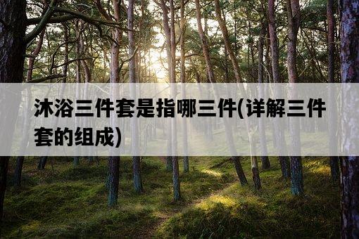 沐浴三件套是指哪三件，詳解三件套的組成-圖1