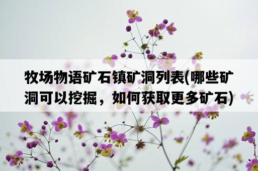 牧場物語礦石鎮礦洞列表，哪些礦洞可以挖掘，如何獲取更多礦石-圖1