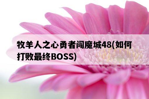 牧羊人之心勇者闖魔城48，如何打敗最終BOSS-圖1