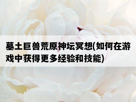 墓土巨獸荒原神壇冥想，如何在游戲中獲得更多經驗和技能-圖1
