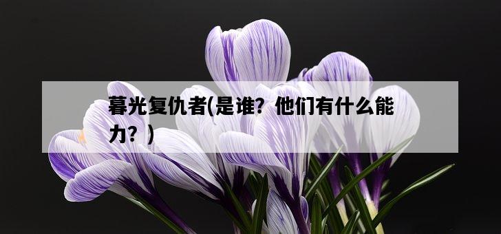 暮光復仇者，是誰？他們有什么能力？-圖1