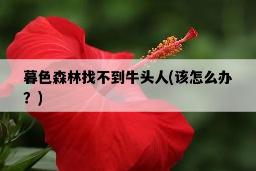 暮色森林找不到牛頭人，該怎么辦？-圖1