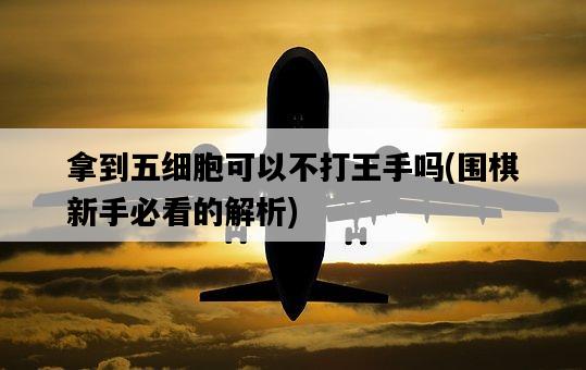 拿到五細胞可以不打王手嗎，圍棋新手必看的解析-圖1