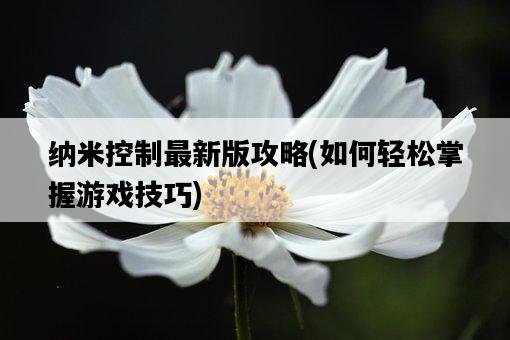 納米控制最新版攻略，如何輕松掌握游戲技巧-圖1