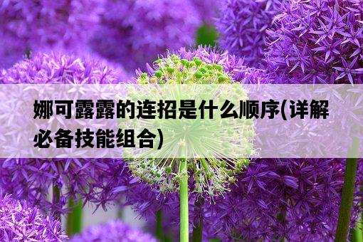 娜可露露的連招是什么順序，詳解必備技能組合-圖1