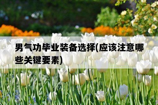 男氣功畢業裝備選擇，應該注意哪些關鍵要素-圖1