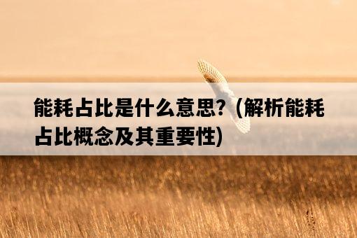 能耗占比是什么意思？，解析能耗占比概念及其重要性-圖1