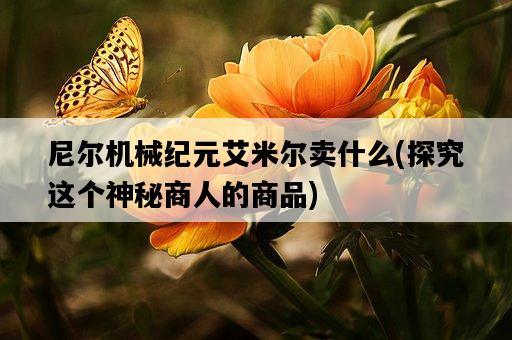 尼爾機械紀元艾米爾賣什么，探究這個神秘商人的商品-圖1