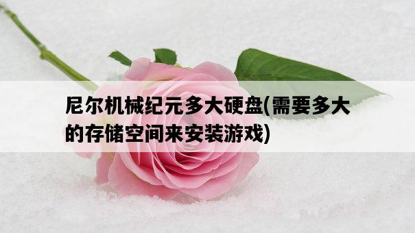 尼爾機械紀元多大硬盤，需要多大的存儲空間來安裝游戲-圖1