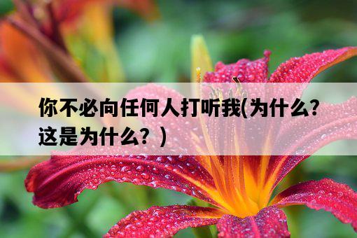 你不必向任何人打聽我，為什么？這是為什么？-圖1