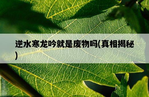 逆水寒龍吟就是廢物嗎，真相揭秘-圖1