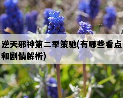 逆天邪神第二季策馳，有哪些看點和劇情解析-圖1