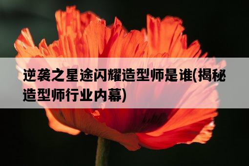 逆襲之星途閃耀造型師是誰，揭秘造型師行業內幕-圖1
