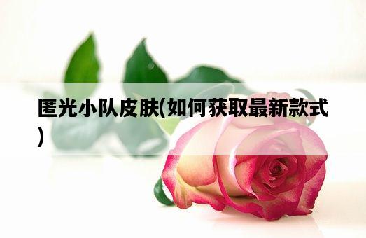 匿光小隊皮膚，如何獲取最新款式-圖1