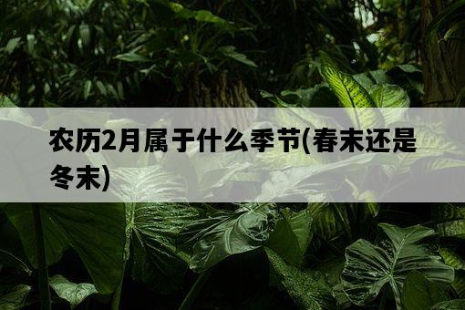 農歷2月屬于什么季節，春末還是冬末-圖1