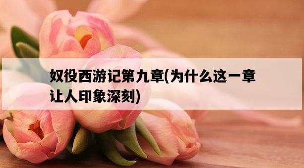 奴役西游記第九章，為什么這一章讓人印象深刻-圖1