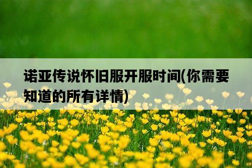 諾亞傳說懷舊服開服時間，你需要知道的所有詳情-圖1