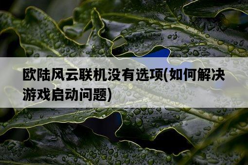 歐陸風云聯機沒有選項，如何解決游戲啟動問題-圖1