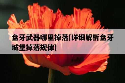盤牙武器哪里掉落，詳細解析盤牙城堡掉落規律-圖1