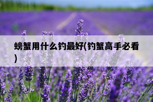 螃蟹用什么釣最好，釣蟹高手必看-圖1