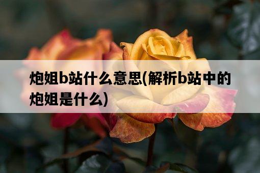 炮姐b站什么意思，解析b站中的炮姐是什么-圖1