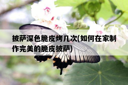 披薩深色脆皮烤幾次，如何在家制作完美的脆皮披薩-圖1