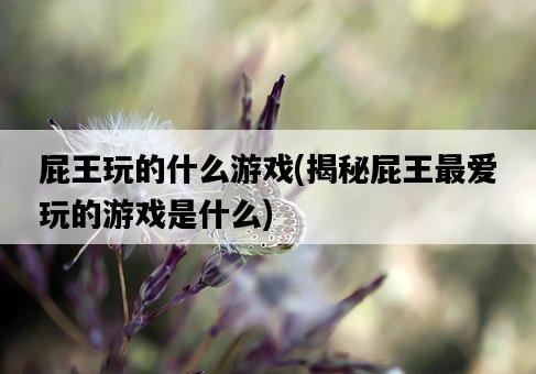 屁王玩的什么游戲，揭秘屁王最愛玩的游戲是什么-圖1